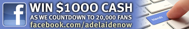 AN image facebook 20 banner