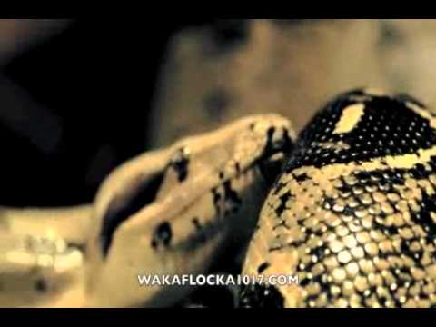 Waka Flocka Flame - Snakes In The Grass music video