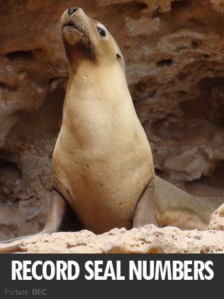 Record seal numbers