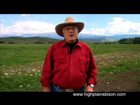 Learn about High Plains Bison