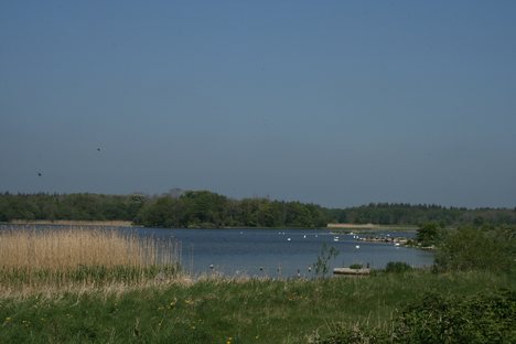 Lough Ennell