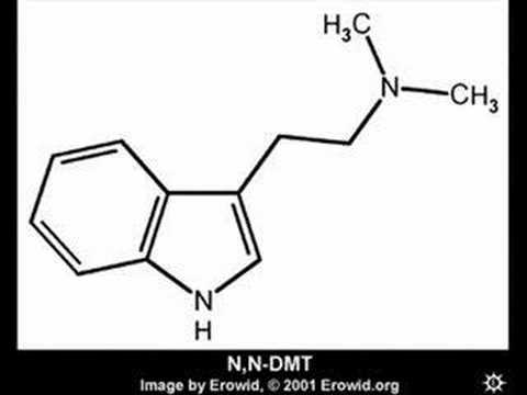 Joe Rogan talks about DMT