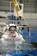 Lt. Cmdr. Chris Cassidy is lowered into the Neutral Buoyancy Laboratory (NBL) for a training session in Houston.