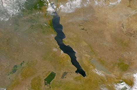 Some of the Rift Valley Lakes - from left to right the lakes are Lake Upemba, Lake Mweru, Lake Tanganyika (largest), and Lake Rukwa.