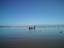 Fishermen in lake Naivasha