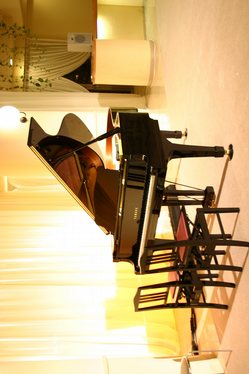 Baby Grand Piano the piano is a musical instrument which is played by means of a keyboard