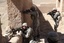 U.S. Army soldiers with 3rd Platoon, Alpha Company, 1st Battalion, 503rd Infantry Regiment, 173rd Airborne Brigade Combat Team prepare to engage enemy combatants in Chak district, Wardak province, Afghanistan, on Sept. 25, 2010.