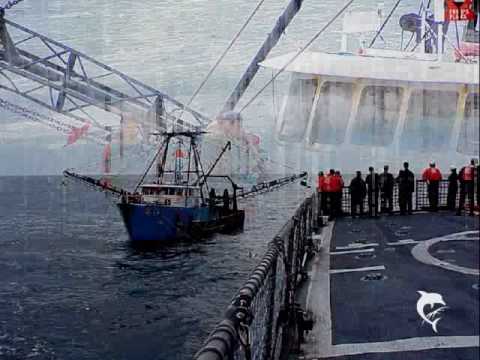 USCG HARRIET LANE / - by Tom Hough / SPAR WLB-403