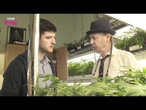 The World's Largest Cannabis Dispensary - Cannabis: What's The Harm? Preview - BBC Three