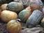 pumpkins in the vegetable market