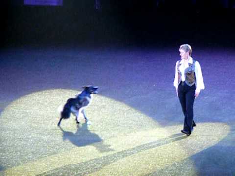 mary ray at crufts 2009