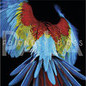 Album Review: Friendly Fires - 'Pala'