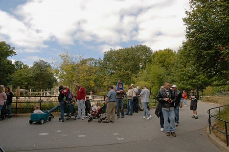 Olmsted Walk, near the zoo's Elephant House