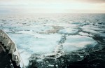 Ice floes in the northern Bering Sea 