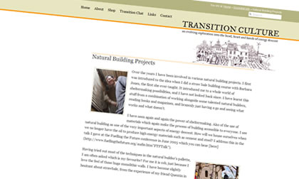 transition culture website design