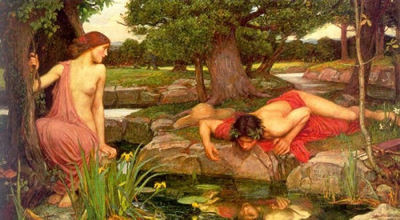 Narcissus