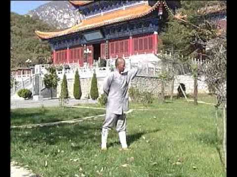 Shaolin Yi Jin Jing Muscle & Tendon Changing Classic