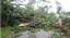 Trees fallen across a road in Rangoon, Burma following Cyclone Nargis May 5, 2008.