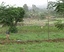 women farmers working in the farm - India