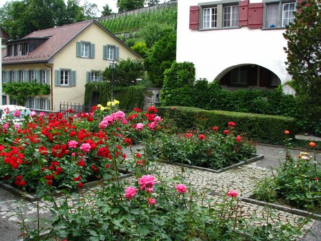 Roses, Hintergasse (2009) Settlements in the region of Rapperswil date back to at least 5000 years ago. Archaeological relicts have been found at a Bronze Age village, and the remains of a first wooden bridge (1523 B.C., reconstructed in 2001) to Hurden (SZ) located on upper Lake Zürich shore nearby the Technical University (HSR) respectively the so-called Heilig Hüsli (Seedamm)