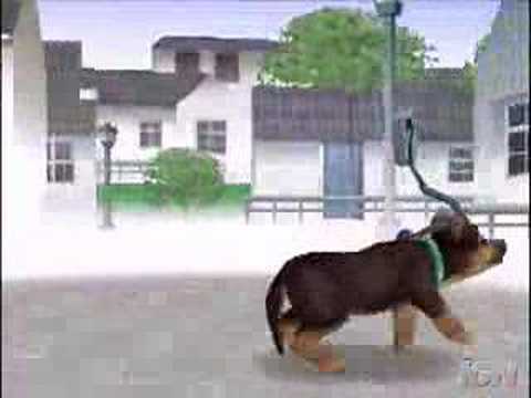 Nintendogs : lab & Friends - IGN Review