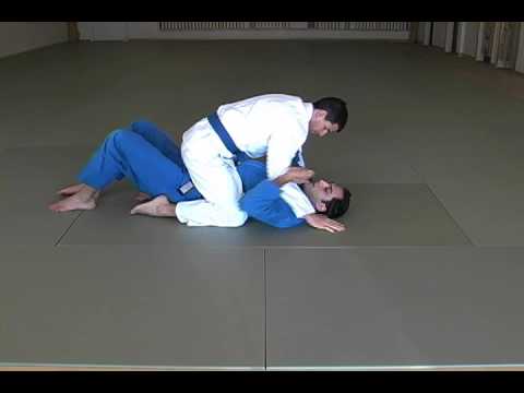 Brazilian Jiu Jitsu: Mount Escapes