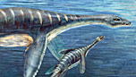 Plesiosaurs