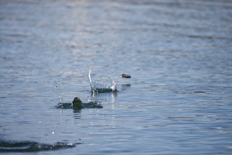 Stone skipping