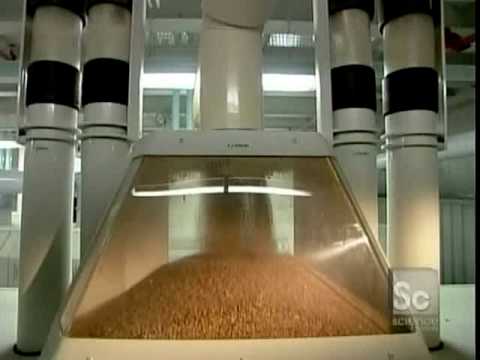 How It's Made Flour