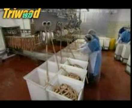 Mass Producing Hot Dogs in a Factory