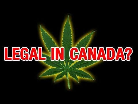 Marijuana Legal in Ontario Soon? | The New Amsterdam of North America