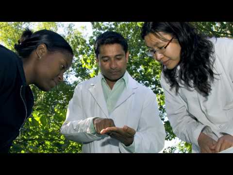 Navindra Seeram: Natural Products Researcher