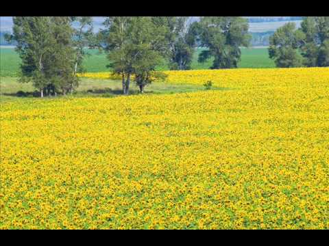 Across the Great Steppe(степь)