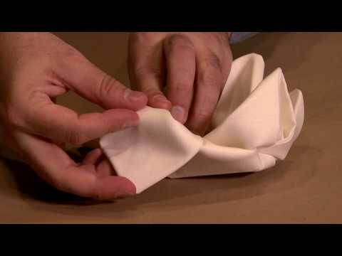 Napkin Folding Demonstration - Real time