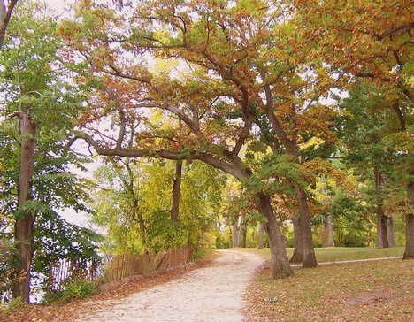 The Lakeshore Path behind the UW–Madison lakeshore residence halls