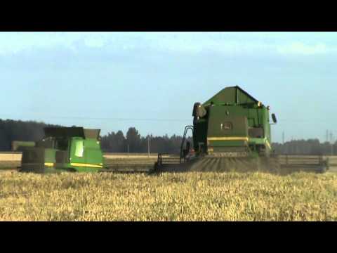 Rape seed harvest (HD) 2