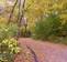 The Lakeshore Path as it enters the northernmost portion of Muir Woods