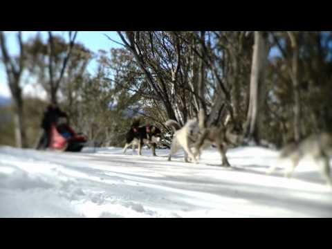 Snow Australia - Discover Our Winter