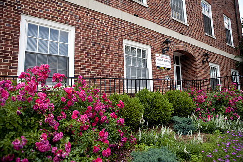 Mitchell Building: Home to Undergraduate Admissions and the Office of Student Affairs