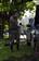 US Army (USA) Military Policeman assigned to the 65th Regional Support Command, US Army Reserve, San Juan, Puerto Rico conducts a mirror search under a vehicle entering the main gate at the USA South Headquarters, Fort Buchanan, Puerto Rico in the afterma