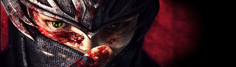 Ninja Gaiden 3