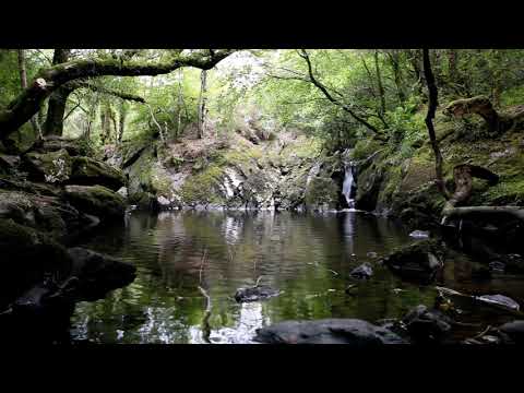 Relax - tranquil water music of nature - calming flowing dripping waterfall sounds-Meditation Peace