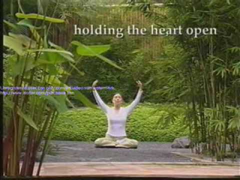 What is Sheng Zhen Qigong