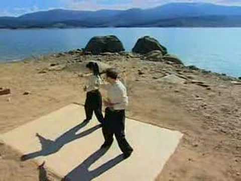 Qigong Chinese Healing Art