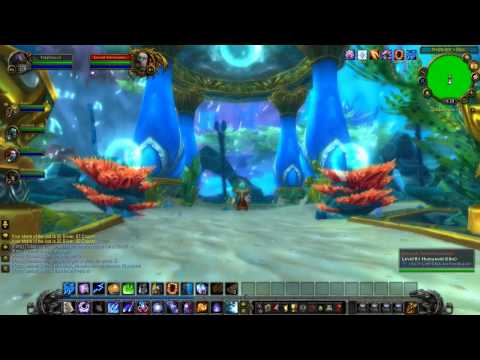 WoW Cataclysm Guide - Throne of Tides Dungeon Run with commentary