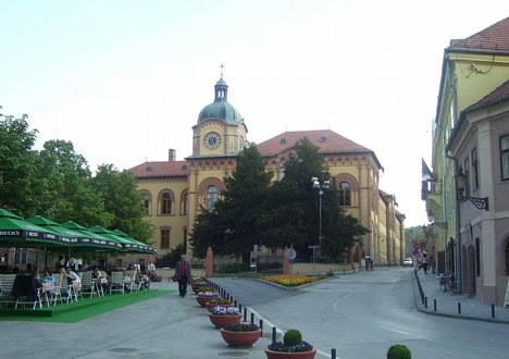 Karlovci High School