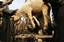 A sheep vendor weighs a sheep at make-shift sheep market in Srinagar, the summer capital of Indian Kashmir, 22, November 2009.The sale of sheep and goats has increased manifold in Kashmir on the eve of muslim holy festival of Eid ul Adha, wherein muslims sacrifice these animals in the way of God.