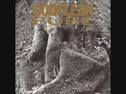 Godflesh - Pure