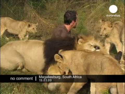 Hugs with Lions