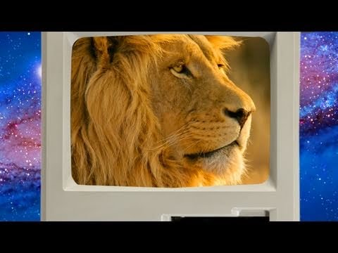 Lifehacker - Mac OS X Lion SECRETS, Hackintosh Upgrades, and FreeNAS Blowout! - Lifehacker